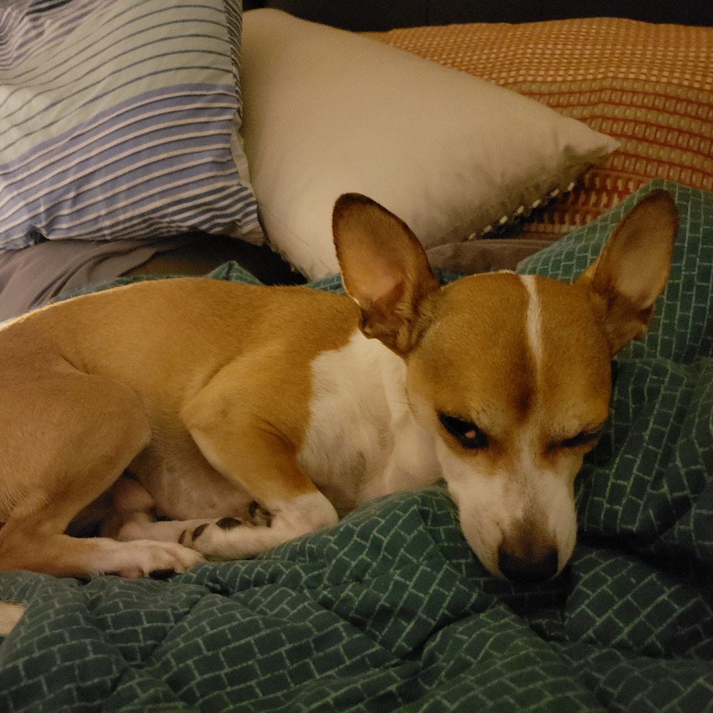 Meet your Posher, Steven